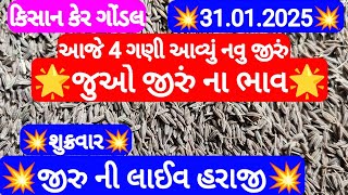 નવુ જીરુ ના ભાવ | જીરુ ના ભાવ | જીરુ નો ભાવ જીરા ના બજાર ભવ | ગોંડલ માર્કેટીંગ યાર્ડ 31-01-2025