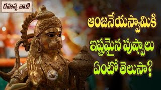 మీకు  హనుమాన్ ఇష్టమైన పుష్పాలు తెలుసా? - రహస్యవాణి