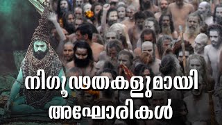 aghori lifestyle | മൃതശരീരങ്ങളുമായി വളരെ അടുപ്പം , വിചിത്ര രീതികളുമായി അഘോരികൾ