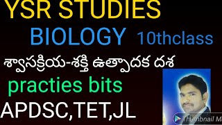 శ్వాసక్రియ  -ఉత్పాదక దశ # respiration # biology