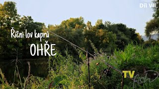 Říční lov kaprů Ohře (River carpfishnig Ohře)