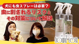 【虫に刺されるリスクとは】犬にも虫スプレーは必要？【帝塚山ハウンドカム】