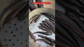 Biggest fish market, Fish market, Ram Nagar fish market, Hyderabad fish market, Indian fish market