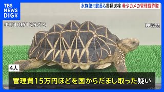 池袋「サンシャイン水族館」元館長らを書類送検　絶滅危惧種「ビルマホシガメ」飼育数偽り国に申告か　警視庁｜TBS NEWS DIG