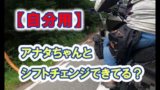 【自分用】アナタちゃんとシフトチェンジできてる？　#VERSYS-X250