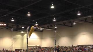 Anthony McCallum – High Bar – 2016 Winter Cup Finals