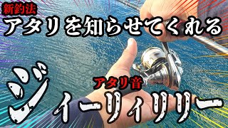 【エギング】新釣法！！誰も教えてないアタリのとりかた編。アタリがわからない人は必見です！！2022 9月　エギング