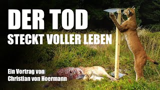 Vortrag Kadaverökologie vom 5. Dezember 2024 (Christian von Hoermann )