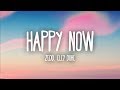 Zedd, Elley Duhé - Happy Now (Lyrics)