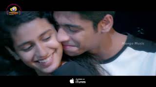 Priya Prakash Varrier Lovers Day Movie Songs   Pilla Nee Venakaley Full Video Song  akash