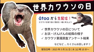 【ライブ配信】世界カワウソの日2023　カワウソたちを取り巻く現状を一緒に考えよう！