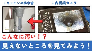 キッチンの排水管の汚れを、内視鏡カメラで見てみよう！