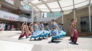 10 祭会 いずみよさこい祭り2019