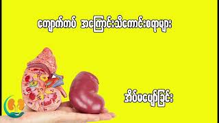 ကျောက်ကပ်အကြောင်းသိကောင်းစရာ