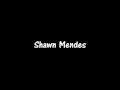 Shawn Mendas- Kid In Love  (Lyric Video)