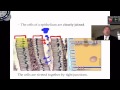 Epithelial Tissue Part1