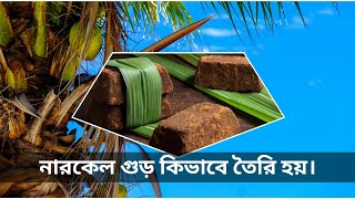 নারকেল গুড় কিভাবে তৈরি হয় | How is coconut jaggery made.