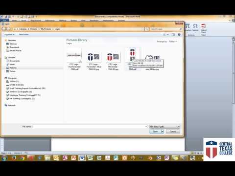 Insert PDF Image in Word Insert PDF Image in Word