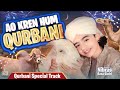 Bakra Eid Kalam 2026 - Ao Karen Hum Qurbani - Nibras Raza Qadri - Qurbani Special Track