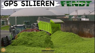 Großeinsatz auf der Biogasanlage! 300ha GPS Silieren für Biogas Gewinnung Fendt Traktoren im Einsatz