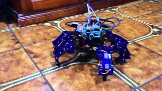 Arcbotics Hexy with Raspberry Pi