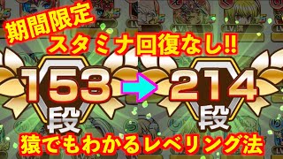 【コトダマン】誰でも、たった2時間で簡単に段を上げるレベリング方法！