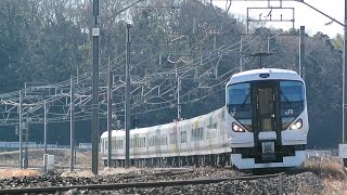 E257系臨時快速成田山初詣やまなし号＠モノサク