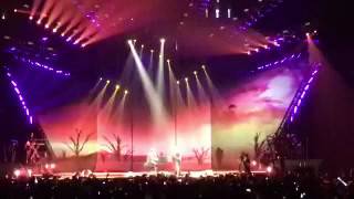 Selena Gomez, Charlie Puth - We Don't Talk Anymore (Live REVIVAL TOUR)