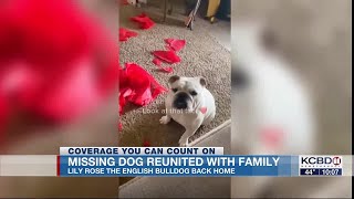 Missing dog, Lily Rose, reunited with family