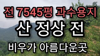 매물번호22번 무주군 부남면 가당리 전 1915-1외6필지  상담 063.324.2442