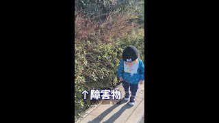 【生後１歳４ヶ月】散歩中に障害物に遭遇❗どうしよう❓　My son on a walk was cute.　＃Shorts　#赤ちゃん