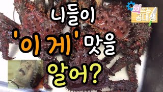 킹크랩이 킬로 만원대? 가성비 갑인 '이 녀석' | 하나사키 킹크랩 찌고 손질하는 법