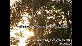 In Wayanad,vaduvanchal Near meenmutty water falls 75 Cent beautiful land Rs.85000/cent.#8281488642.