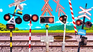 【踏切アニメ】地下から出られなったふみきりカンカン😂😂😂The railroad crossing trapped underground