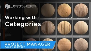 Project Manager.  Using Categories to organize the 3D Asset library.