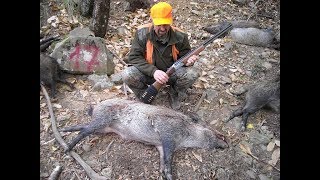 Hunting Wild Boar Field Test: Sabatti Mercury Express 450 EX .45-70 Governament