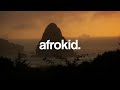 Fireboy DML - Peru (Peace Control Afro House Remix)