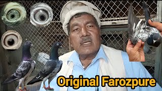 Outclass Birds Farozpure || Ustad Piyare khan Lahore ka Ek Senior Name