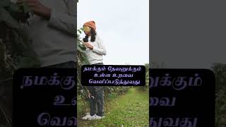 அறிந்து கொள்வோமா? - மிகுந்த கணிகள்