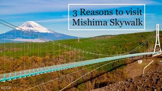 3 Reasons to visit Mishima Skywalk | Life in Japan