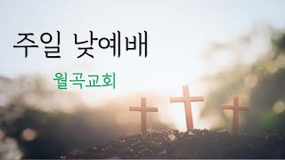 평택 월곡교회 주일낮예배 25 02 23