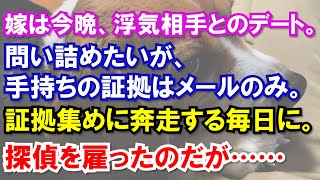 嫁は今晩、浮気相手とのデート。問い詰めたいが、手持ちの証拠はメールのみ。証拠集めに奔走する毎日に。探偵を雇ったのだが……