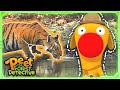 The Mysterious Tiger Hunt | Full Episode | Cartoons for Kids | Peet The Forest Detective