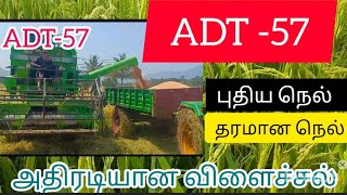 ADT -57 Paddy variety நெல் ரகம் கார், குறுவை, சொர்ணவாரி, நவரை பட்டங்கள்