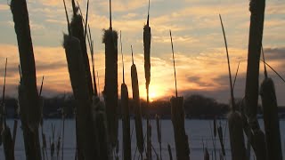 When To Expect Spring’s True Start In Minnesota