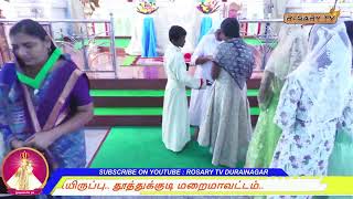 🔴Live| 12-01-2025 | ஞாயிறு |காலை திருப்பலி Part-2|புனித ஜெபமாலை அன்னை ஆலயம்|துரைகுடியிருப்பு.