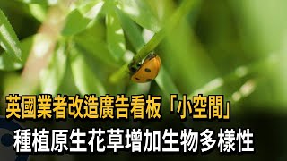 英國業者改造廣告看板「小空間」　種植原生花草增加生物多樣性－民視新聞