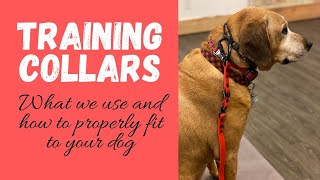 How to Fit Training Collars