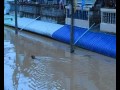 Hatyai Flood - Nov. 2010 (Trying to Survive)