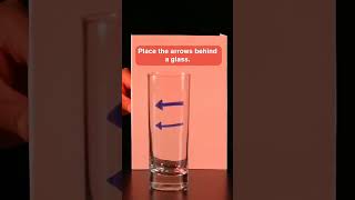Reverse Reality With Refraction In This Easy Science Experiment ➡️👀⬅️